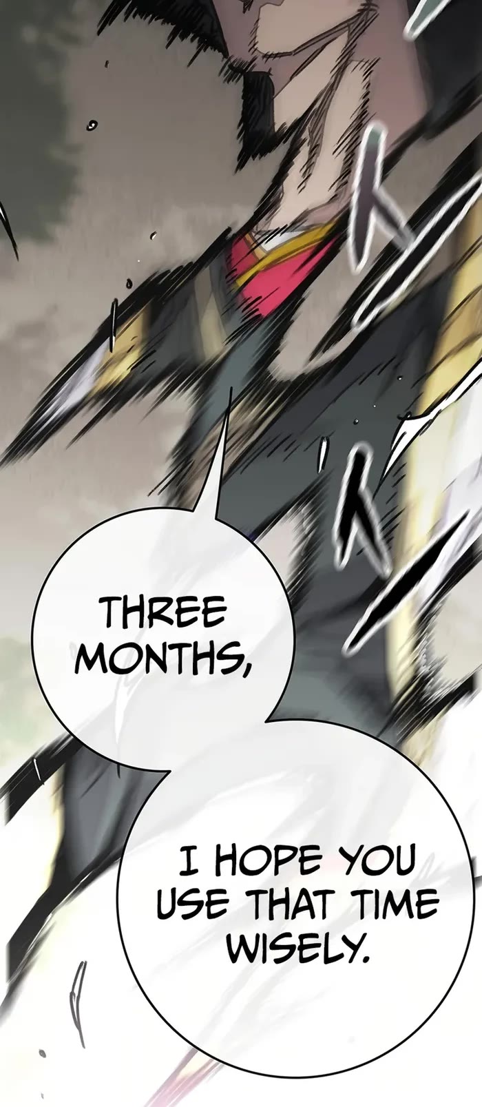 The Undefeatable Swordsman Chapter 229 page 27 - Chapter 229