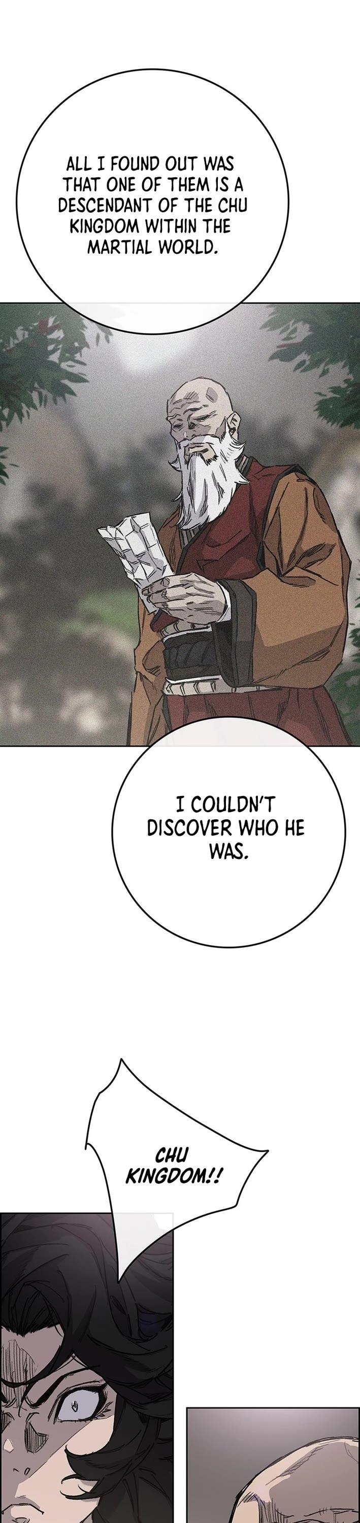 The Undefeatable Swordsman Chapter 255 page 25 - Chapter 255