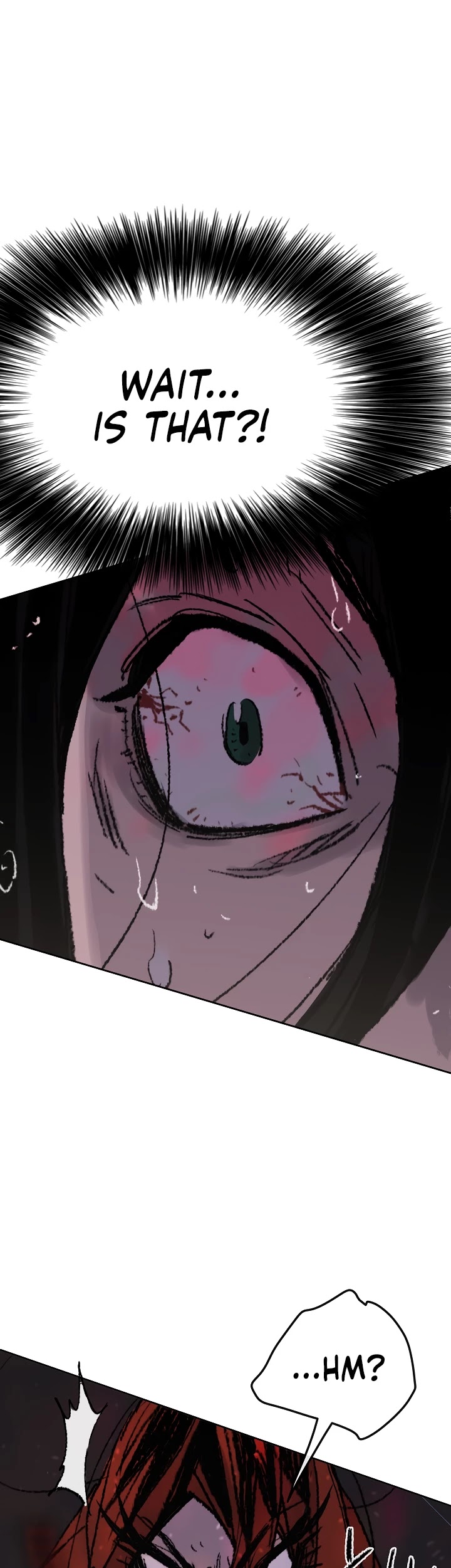 The Undefeatable Swordsman Chapter 52 page 5 - Chapter 52