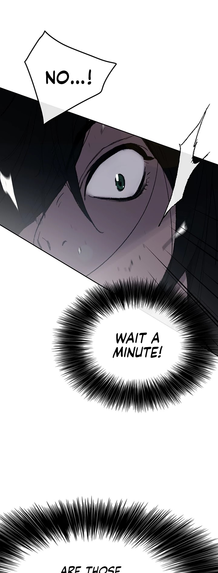 The Undefeatable Swordsman Chapter 68 page 13 - Chapter 68
