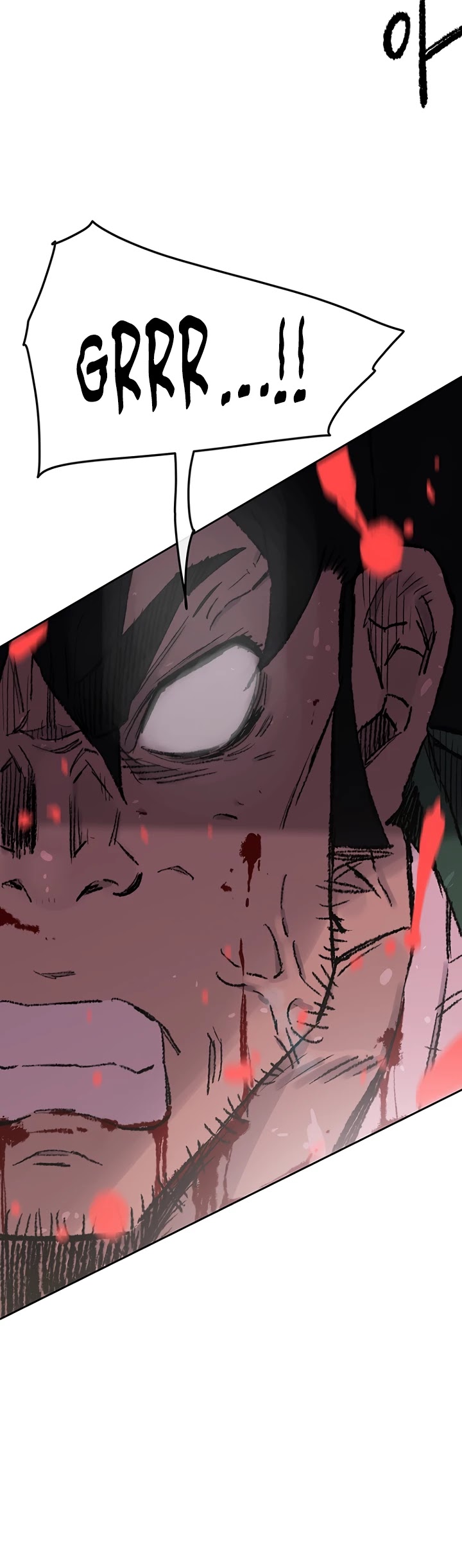 The Undefeatable Swordsman Chapter 74 page 13 - Chapter 74