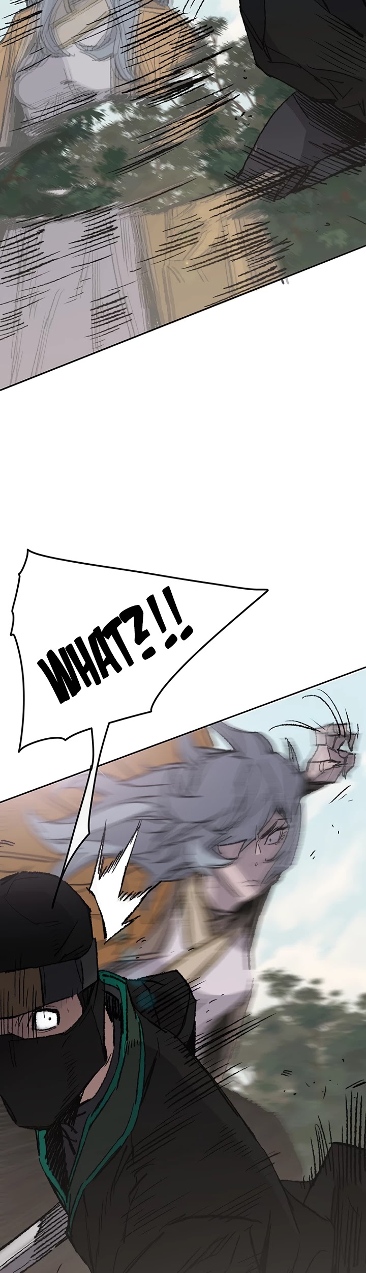 The Undefeatable Swordsman Chapter 74 page 29 - Chapter 74