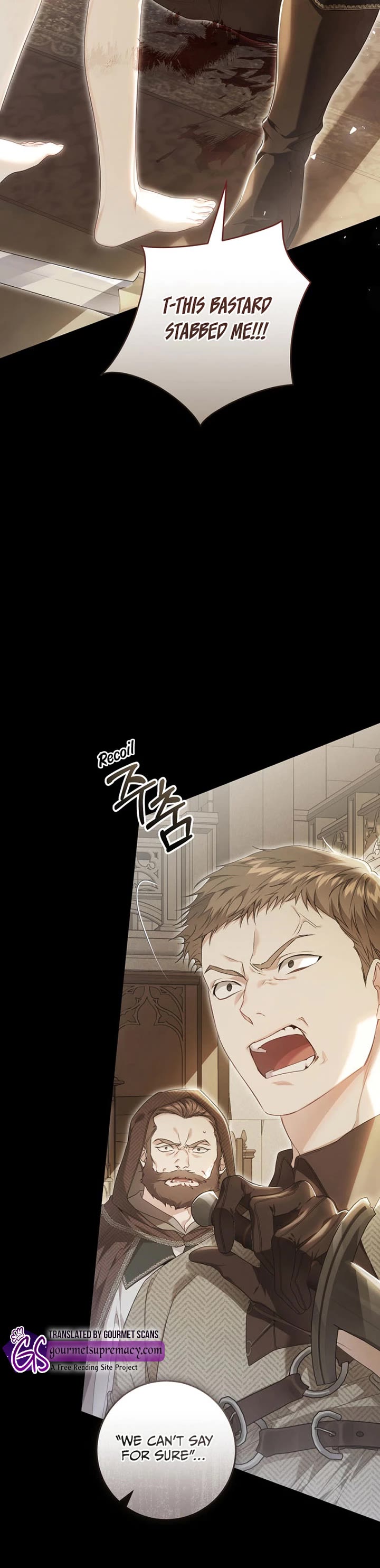 The Villainess Is a Marionette Chapter 95 page 12 - Chapter 95