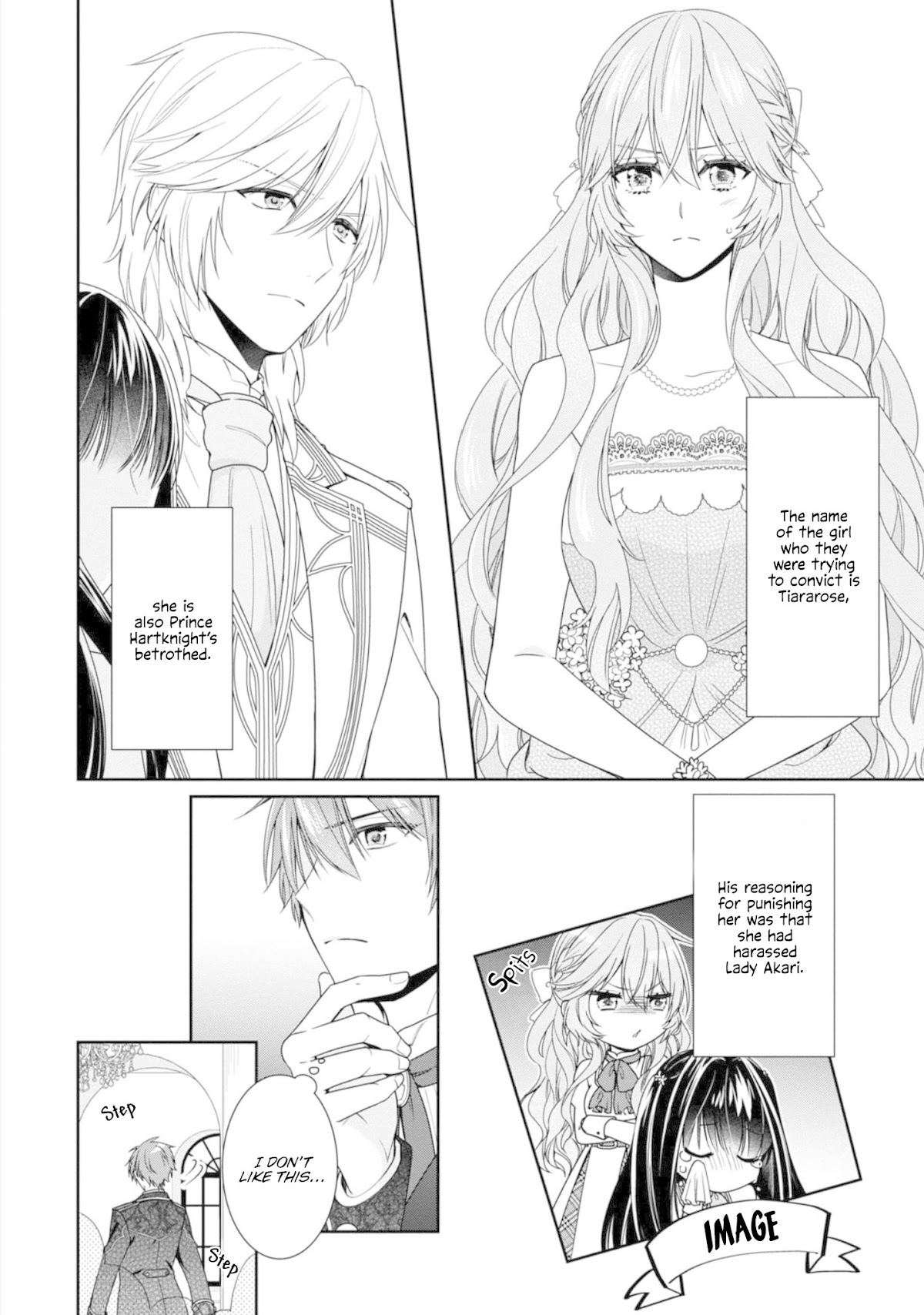 The Villainess Is Adored by the Crown Prince of the Neighboring Kingdom Chapter 4.5 page 2 - Chapter 4.5: Side - Aquasteed