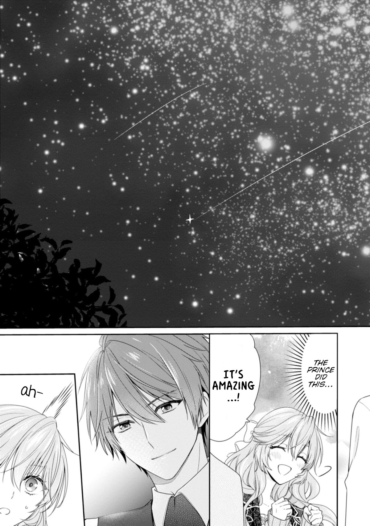 The Villainess Is Adored by the Crown Prince of the Neighboring Kingdom Chapter 5 page 12 - Chapter 5