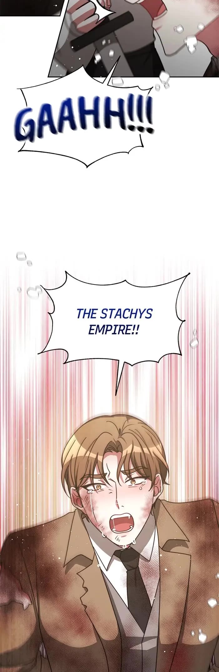 The Villainess Is Worshipped by the Family Chapter 47 page 25 - Chapter 47