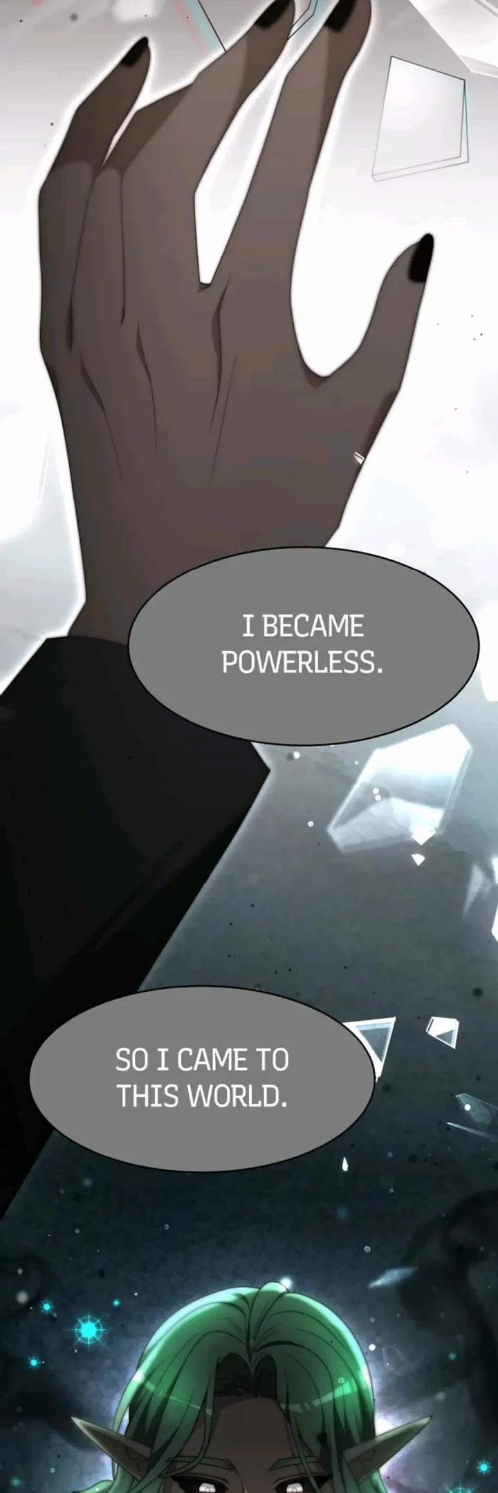 The Villainess Is Worshipped by the Family Chapter 74 page 9 - Chapter 74