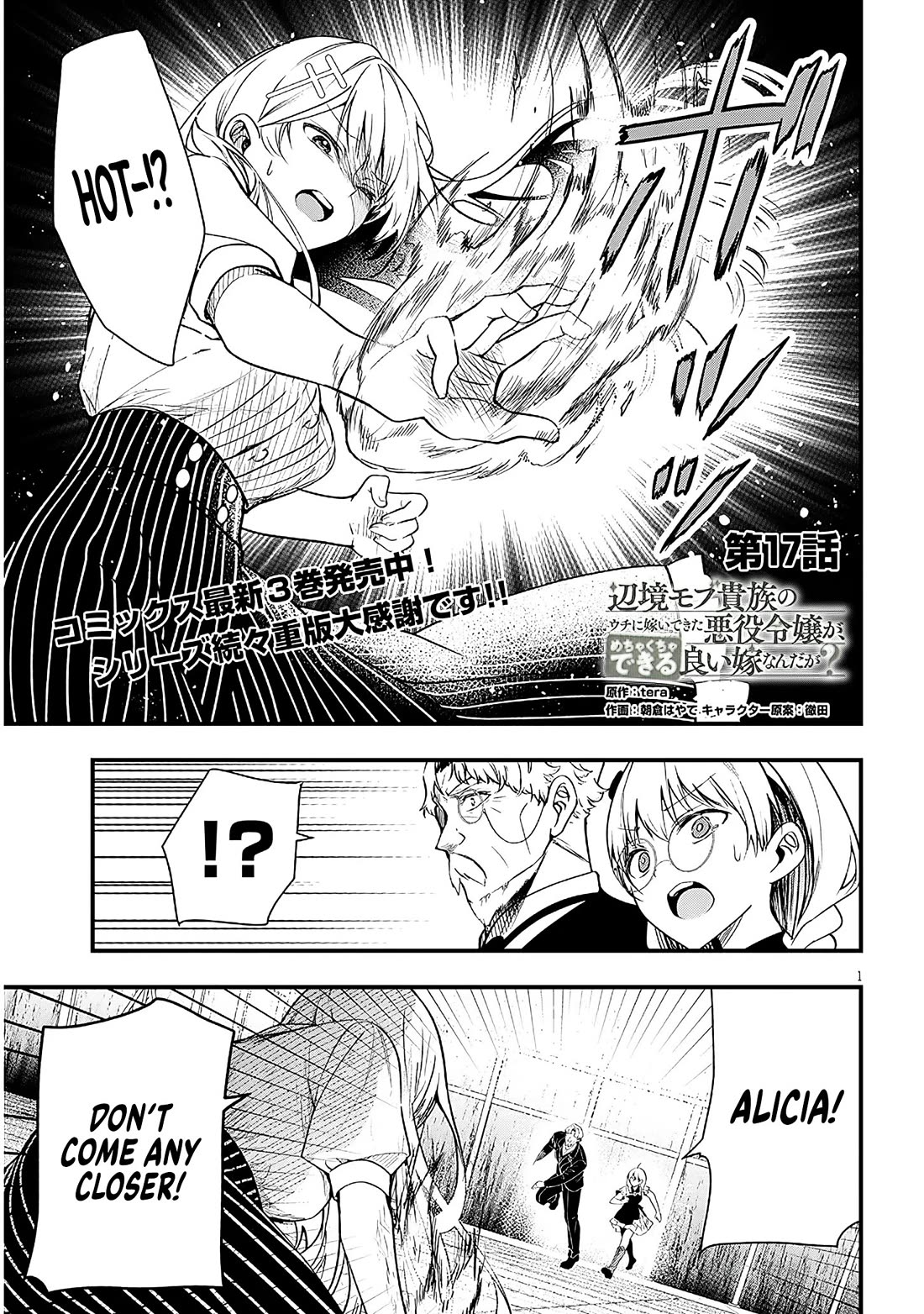 The Villainess Who Was Dumped Got Married into My Family, a Mob Noble from the Frontier, and Turns Out, She's an Amazing Capable Wife? Chapter 17 page 1 - Chapter 17