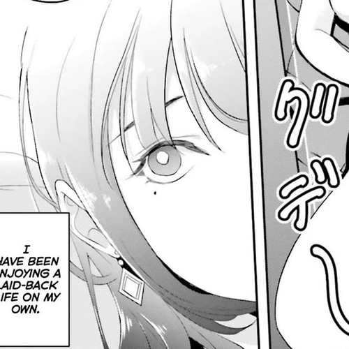 The Villainous Noble Loves Mom Heroines Too Much ~Becoming The Strongest With Sincere Effort To Save Misfortunate Fave Chars~ Chapter 16.6: Bonus 02 cover