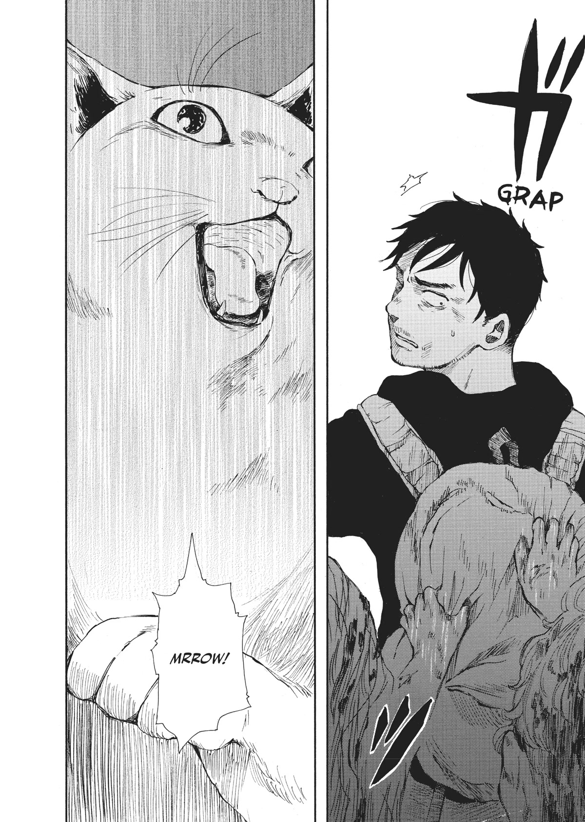 The Walking Cat: A Cat’s-Eye View of the Zombie Apocalypse Chapter 11 page 10 - Chapter 11