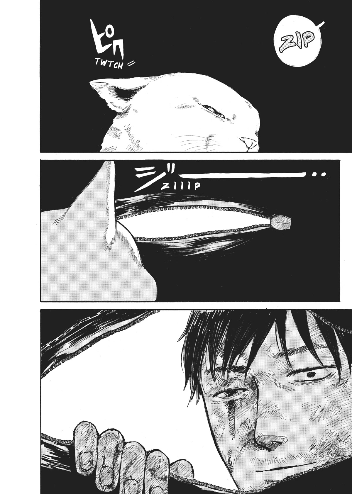 The Walking Cat: A Cat’s-Eye View of the Zombie Apocalypse Chapter 12 page 2 - Chapter 12