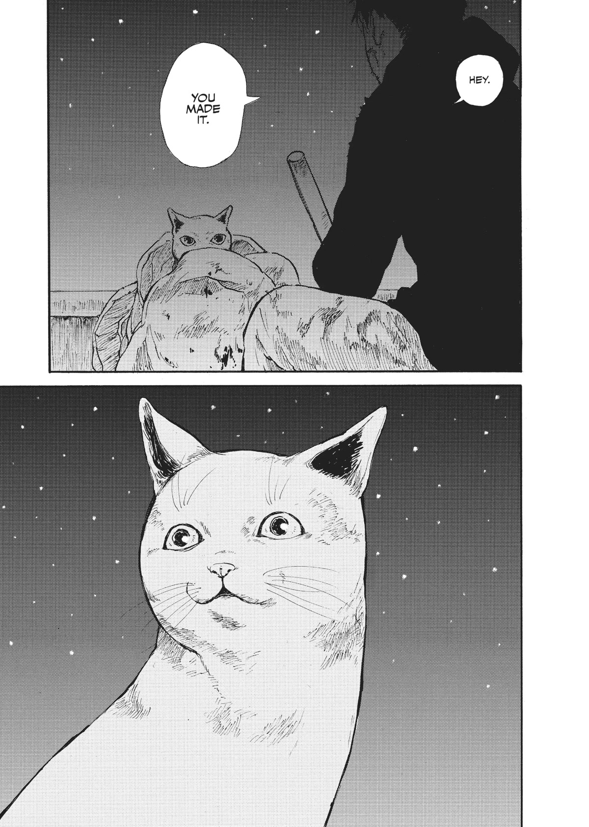 The Walking Cat: A Cat’s-Eye View of the Zombie Apocalypse Chapter 12 page 3 - Chapter 12