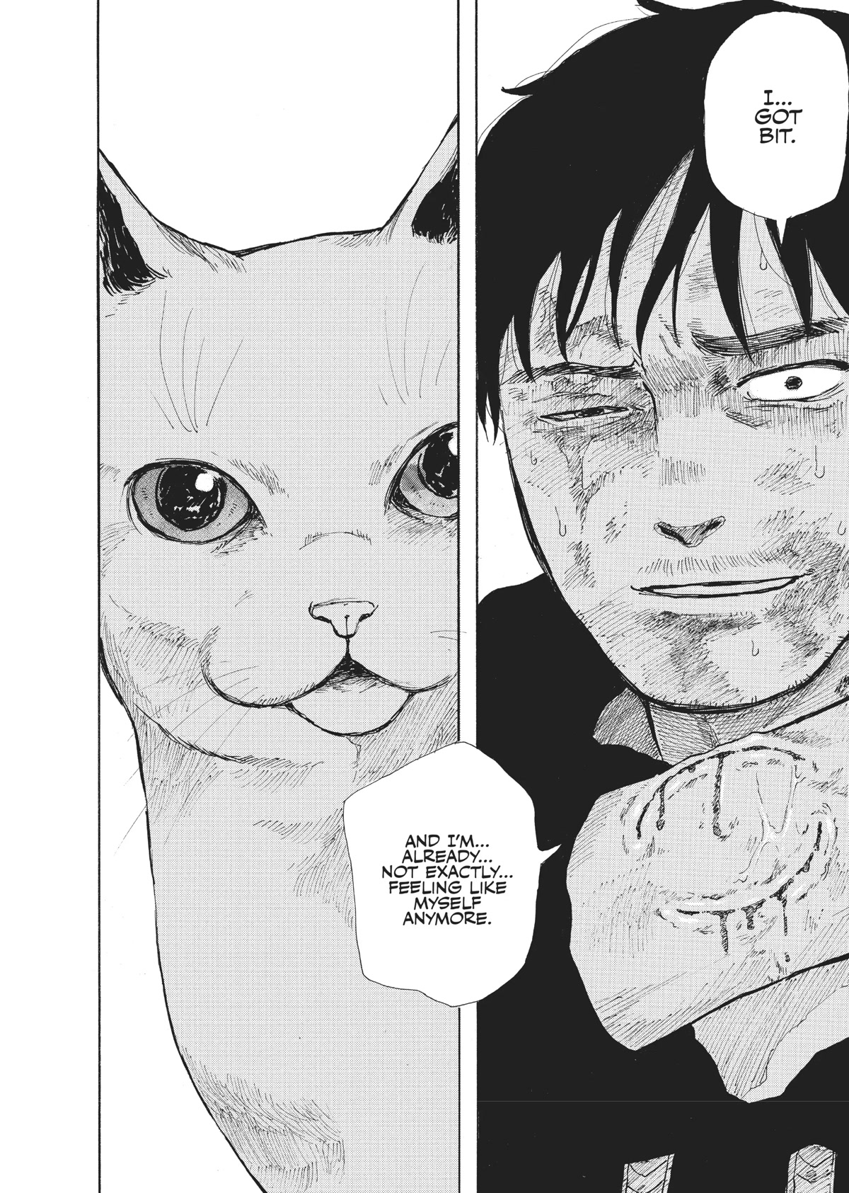 The Walking Cat: A Cat’s-Eye View of the Zombie Apocalypse Chapter 12 page 7 - Chapter 12