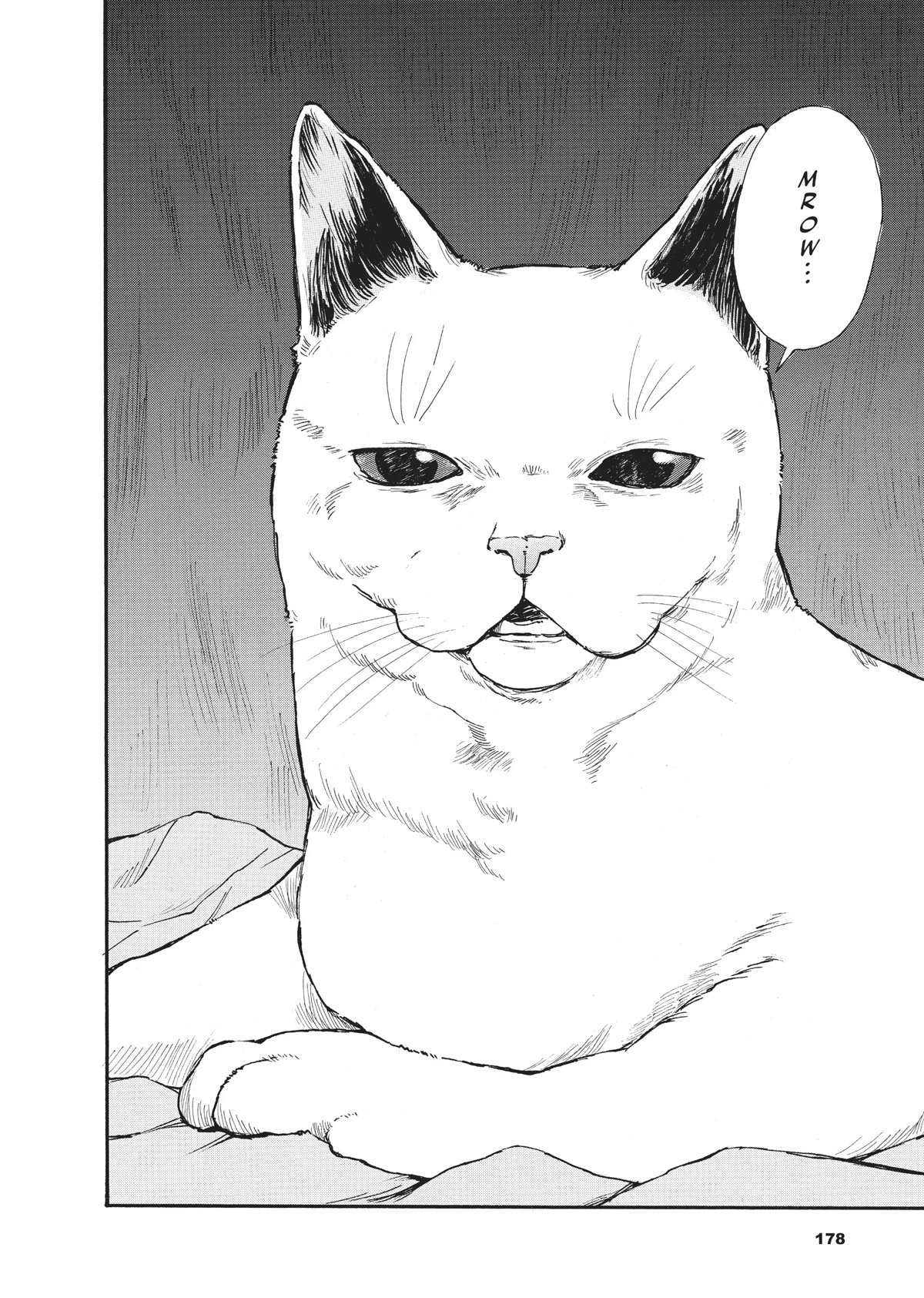 The Walking Cat: A Cat’s-Eye View of the Zombie Apocalypse Chapter 13 page 13 - Chapter 13