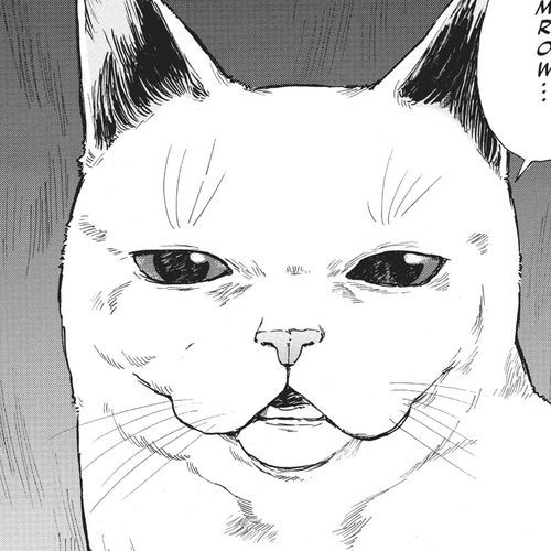 The Walking Cat: A Cat’s-Eye View of the Zombie Apocalypse Chapter 13 cover