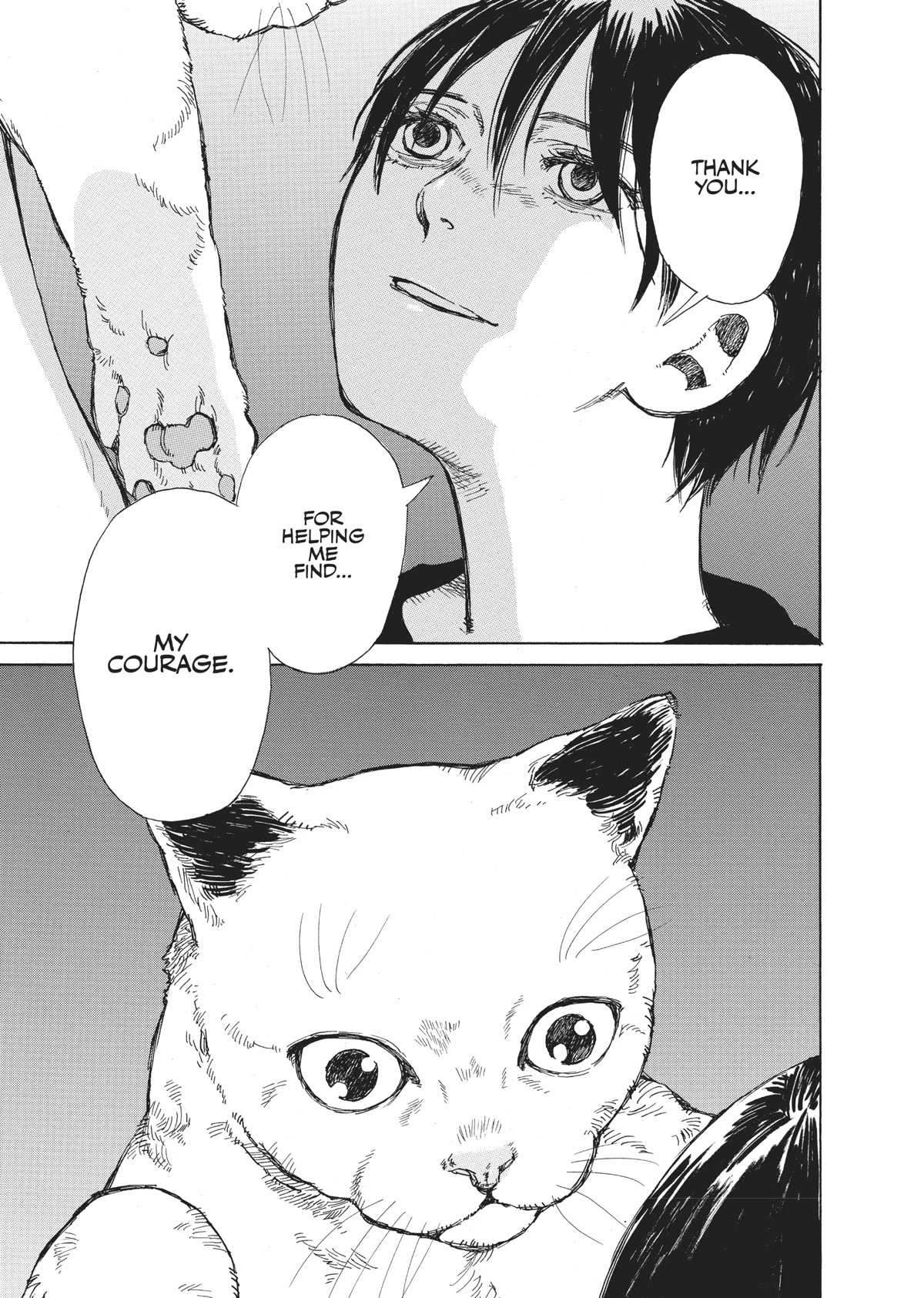 The Walking Cat: A Cat’s-Eye View of the Zombie Apocalypse Chapter 24 page 15 - Chapter 24
