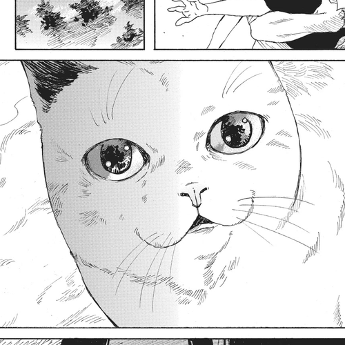 The Walking Cat: A Cat’s-Eye View of the Zombie Apocalypse Chapter 27 cover