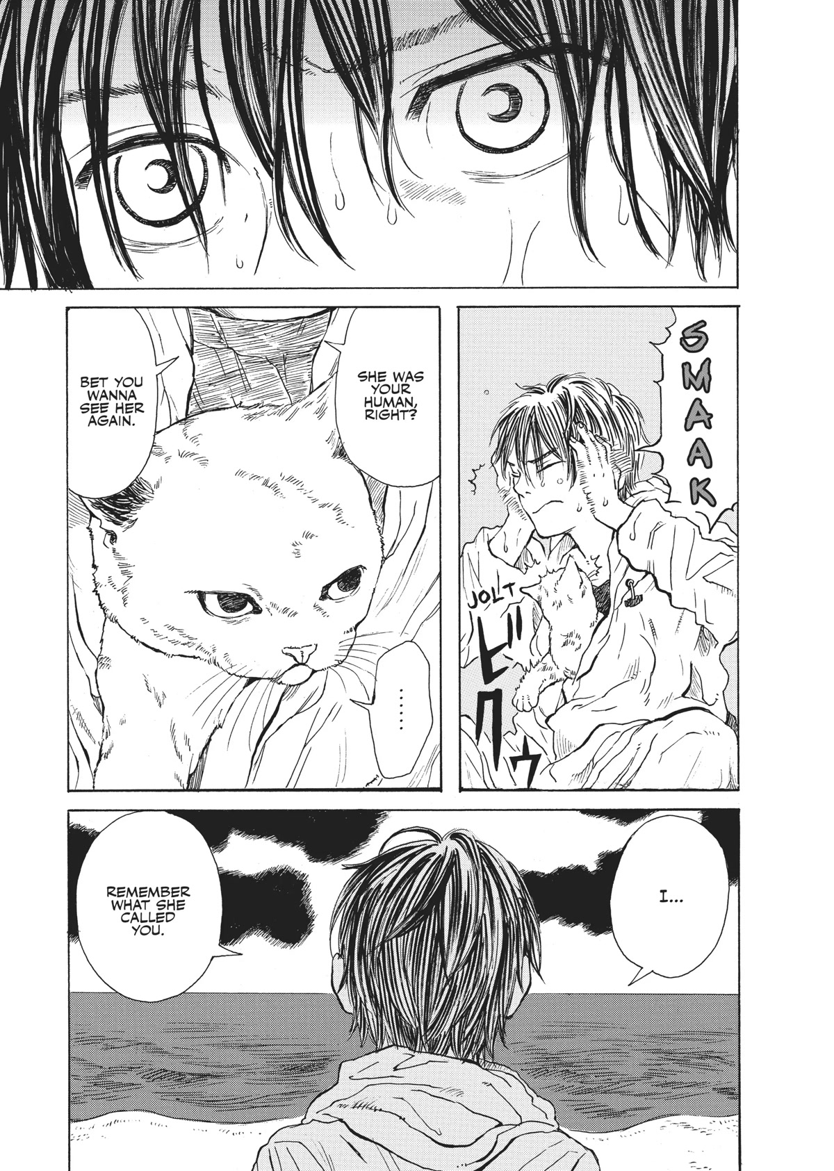 The Walking Cat: A Cat’s-Eye View of the Zombie Apocalypse Chapter 29 page 11 - Chapter 29