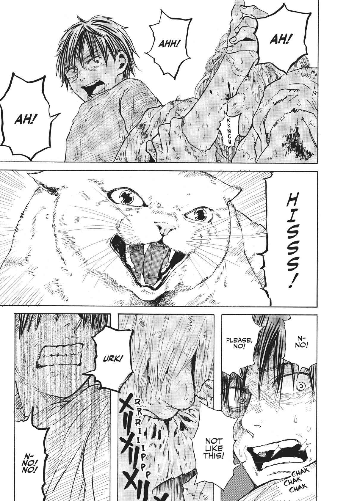 The Walking Cat: A Cat’s-Eye View of the Zombie Apocalypse Chapter 30 page 11 - Chapter 30