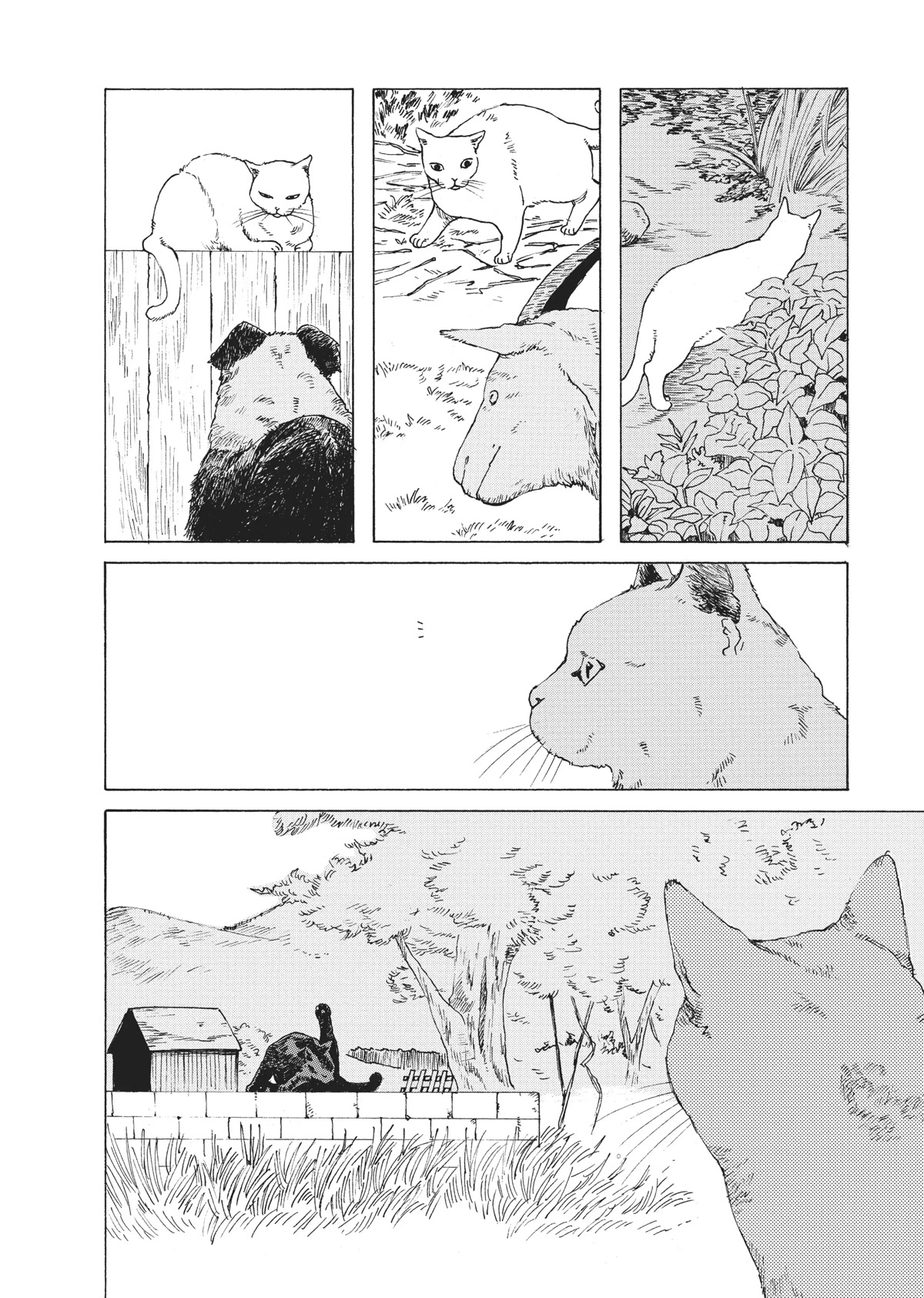 The Walking Cat: A Cat’s-Eye View of the Zombie Apocalypse Chapter 35 page 10 - Chapter 35