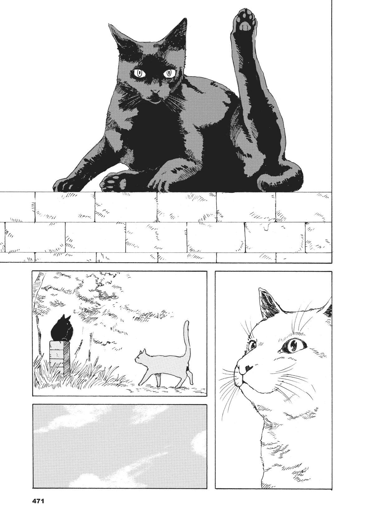 The Walking Cat: A Cat’s-Eye View of the Zombie Apocalypse Chapter 35 page 11 - Chapter 35
