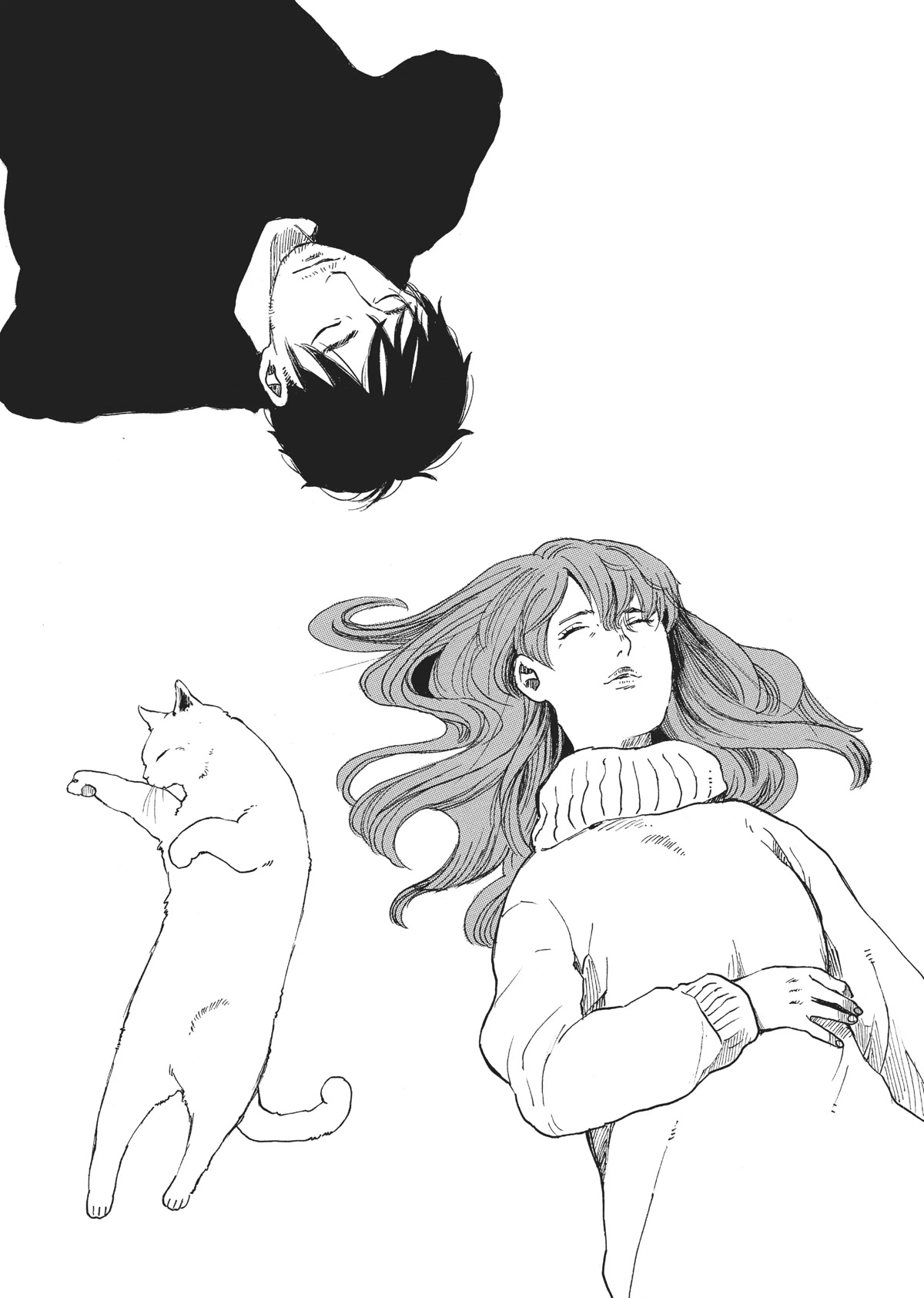 The Walking Cat: A Cat’s-Eye View of the Zombie Apocalypse Chapter 40 page 21 - Chapter 40 [END]
