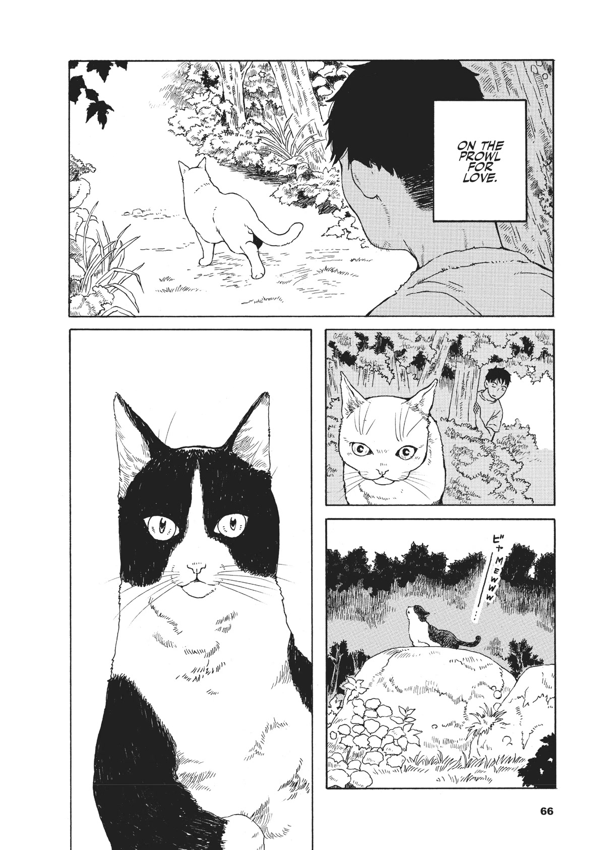 The Walking Cat: A Cat’s-Eye View of the Zombie Apocalypse Chapter 6 page 2 - Chapter 6