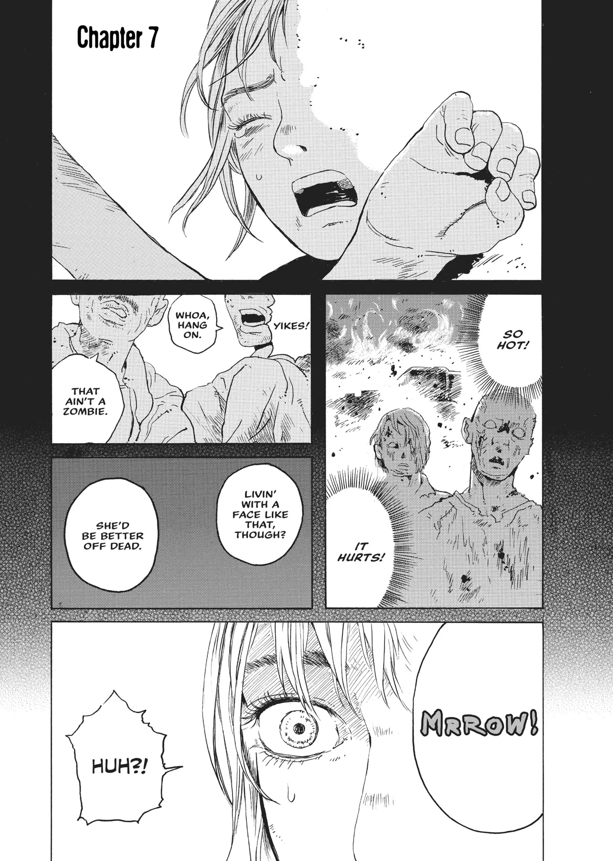 The Walking Cat: A Cat’s-Eye View of the Zombie Apocalypse Chapter 7 page 1 - Chapter 7