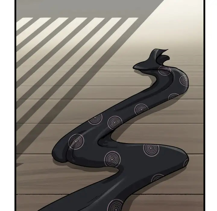 The Wanderer Chapter 15 page 67 - Chapter 15