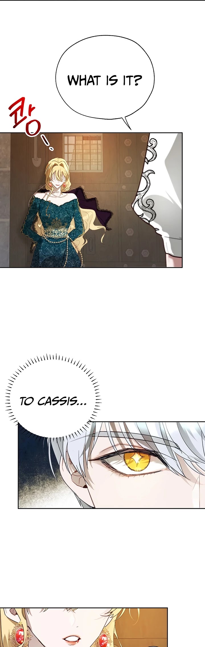 The Way to Protect the Female Lead's Older Brother Chapter 11 page 27 - Chapter 11