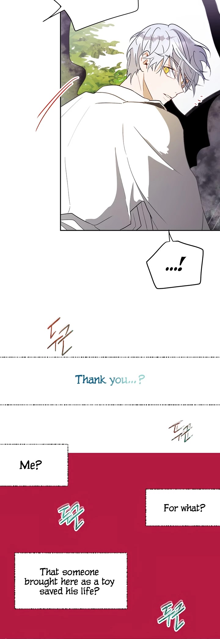 The Way to Protect the Female Lead's Older Brother Chapter 15 page 32 - Chapter 15