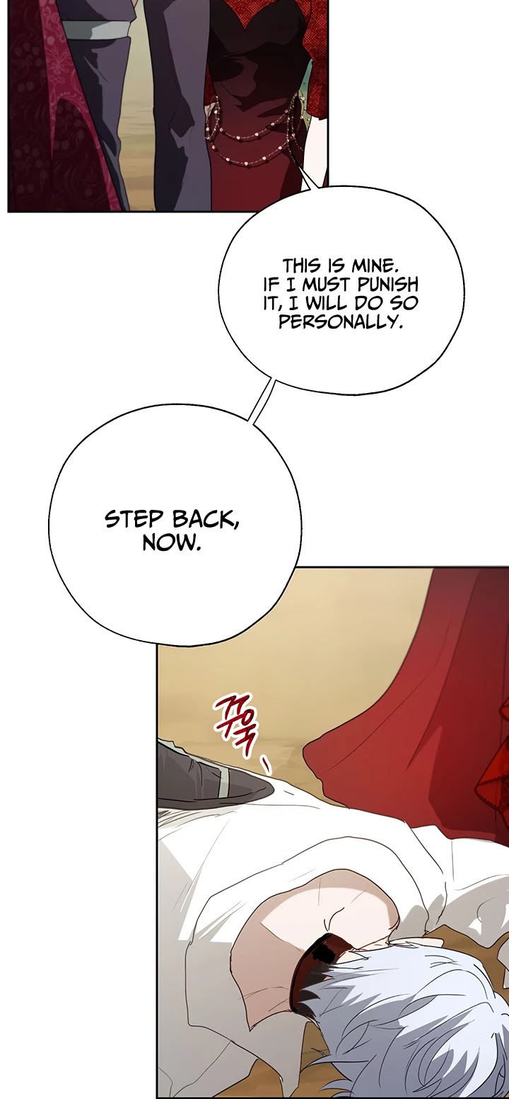 The Way to Protect the Female Lead's Older Brother Chapter 17 page 16 - Chapter 17
