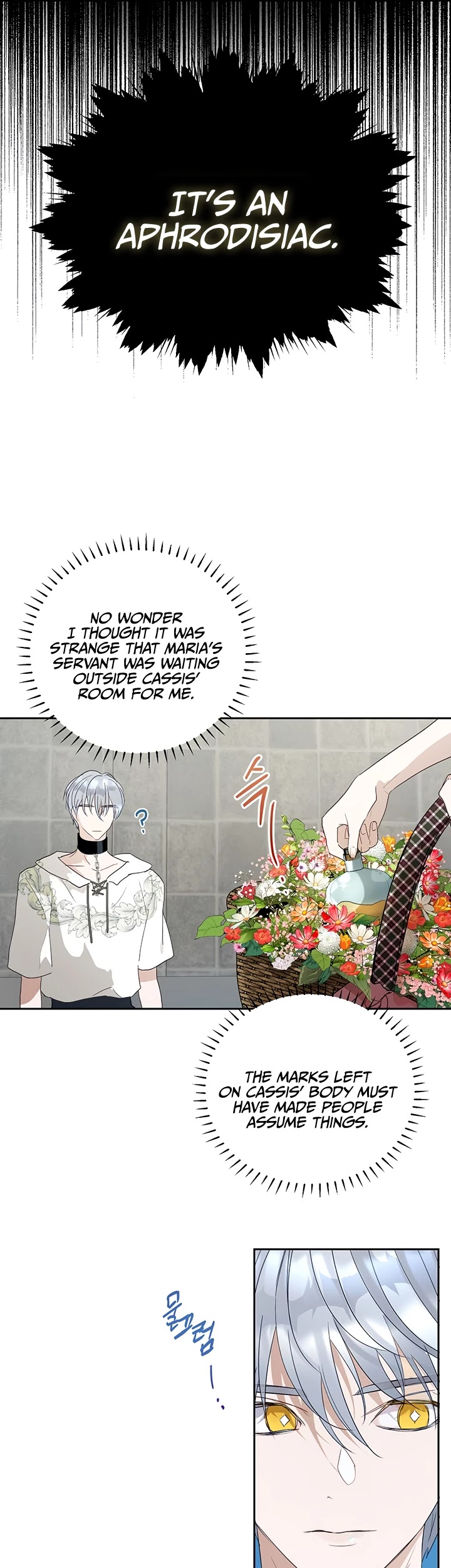 The Way to Protect the Female Lead's Older Brother Chapter 19 page 14 - Chapter 19