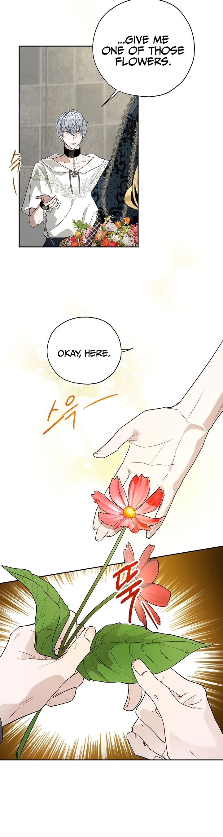 The Way to Protect the Female Lead's Older Brother Chapter 19 page 24 - Chapter 19