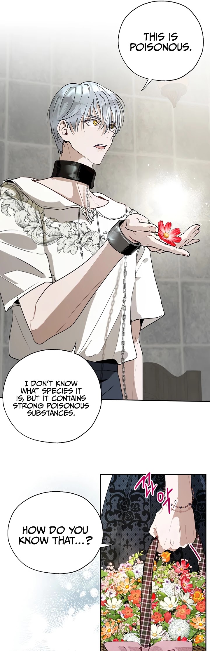 The Way to Protect the Female Lead's Older Brother Chapter 20 page 3 - Chapter 20