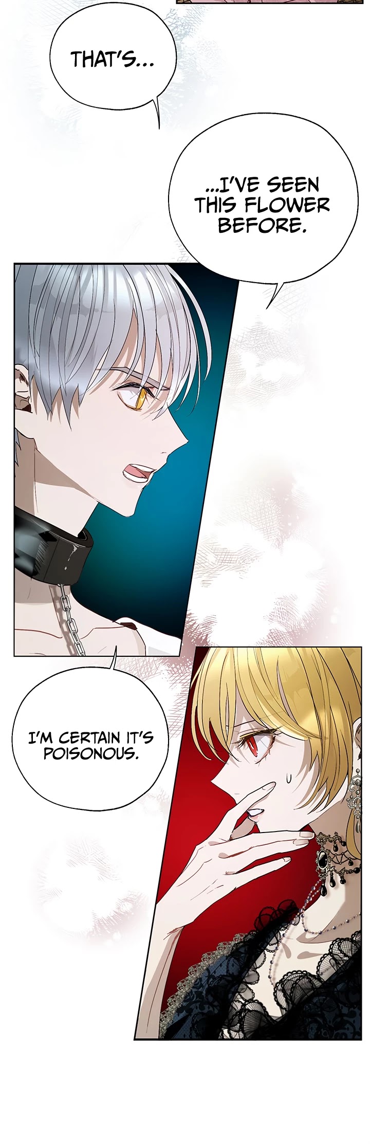 The Way to Protect the Female Lead's Older Brother Chapter 20 page 4 - Chapter 20