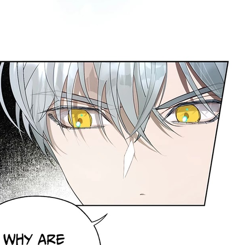 The Way to Protect the Female Lead's Older Brother Chapter 22 cover