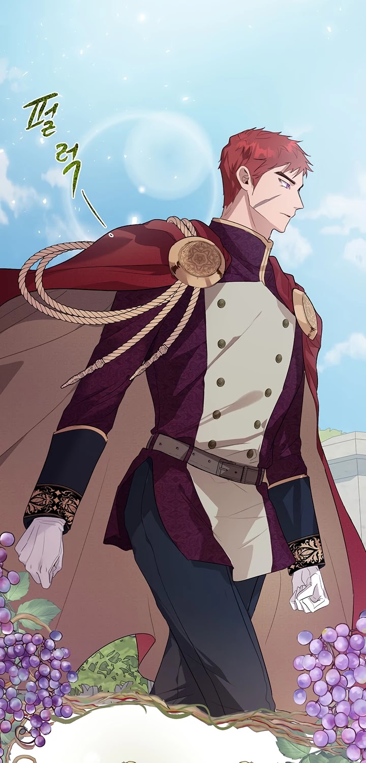 The Way to Protect the Female Lead's Older Brother Chapter 31 page 5 - Chapter 31
