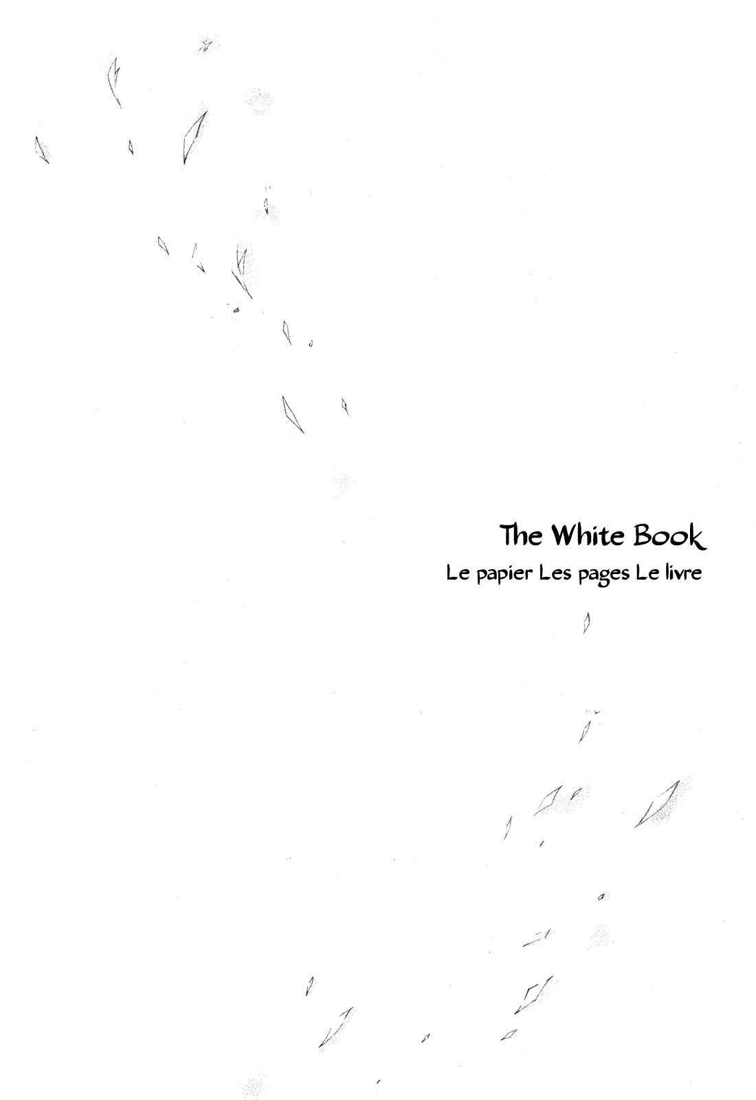 The White Book Chapter 1 page 4 - Chapter 1