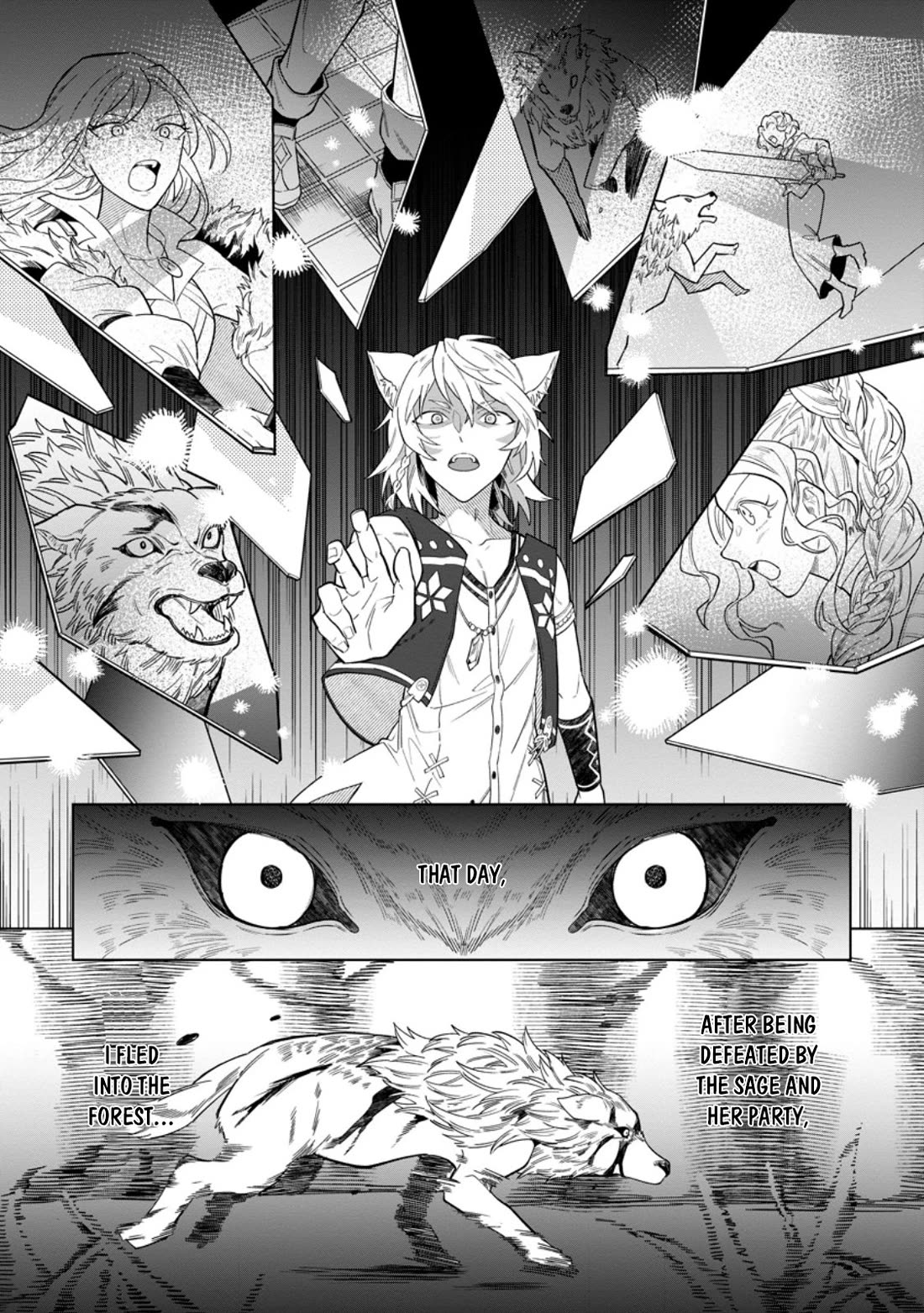 The White Mage Who Was Banished from the Hero's Party is Picked Up by an S Rank Adventurer~ This White Mage is too out of the Ordinary! Chapter 50 page 27 - Chapter 50