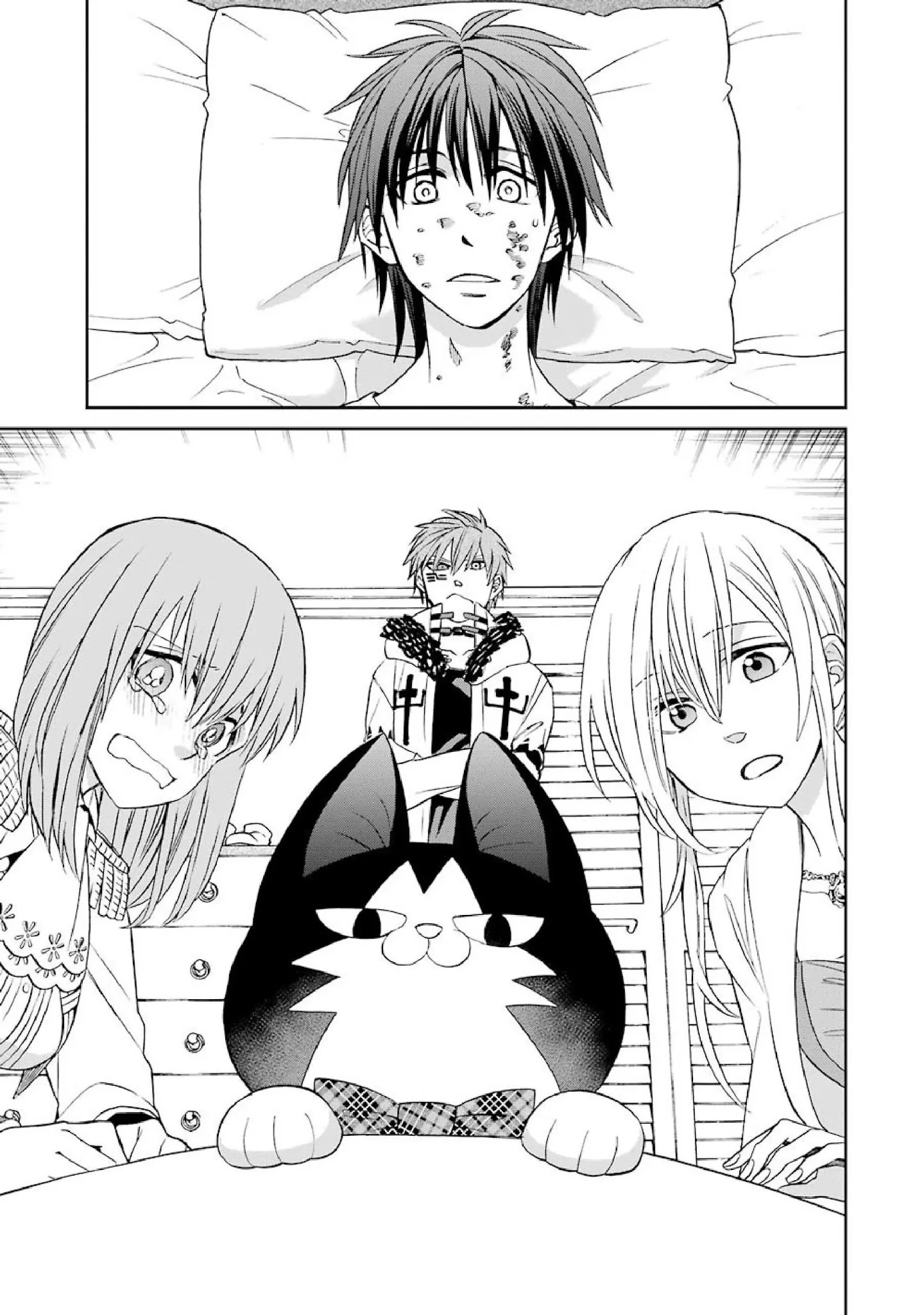 The Witch's Servant and The Demon Lords Horns Chapter 43 page 14 - Chapter 43: The Witch's Servant and the Plan Going Forward