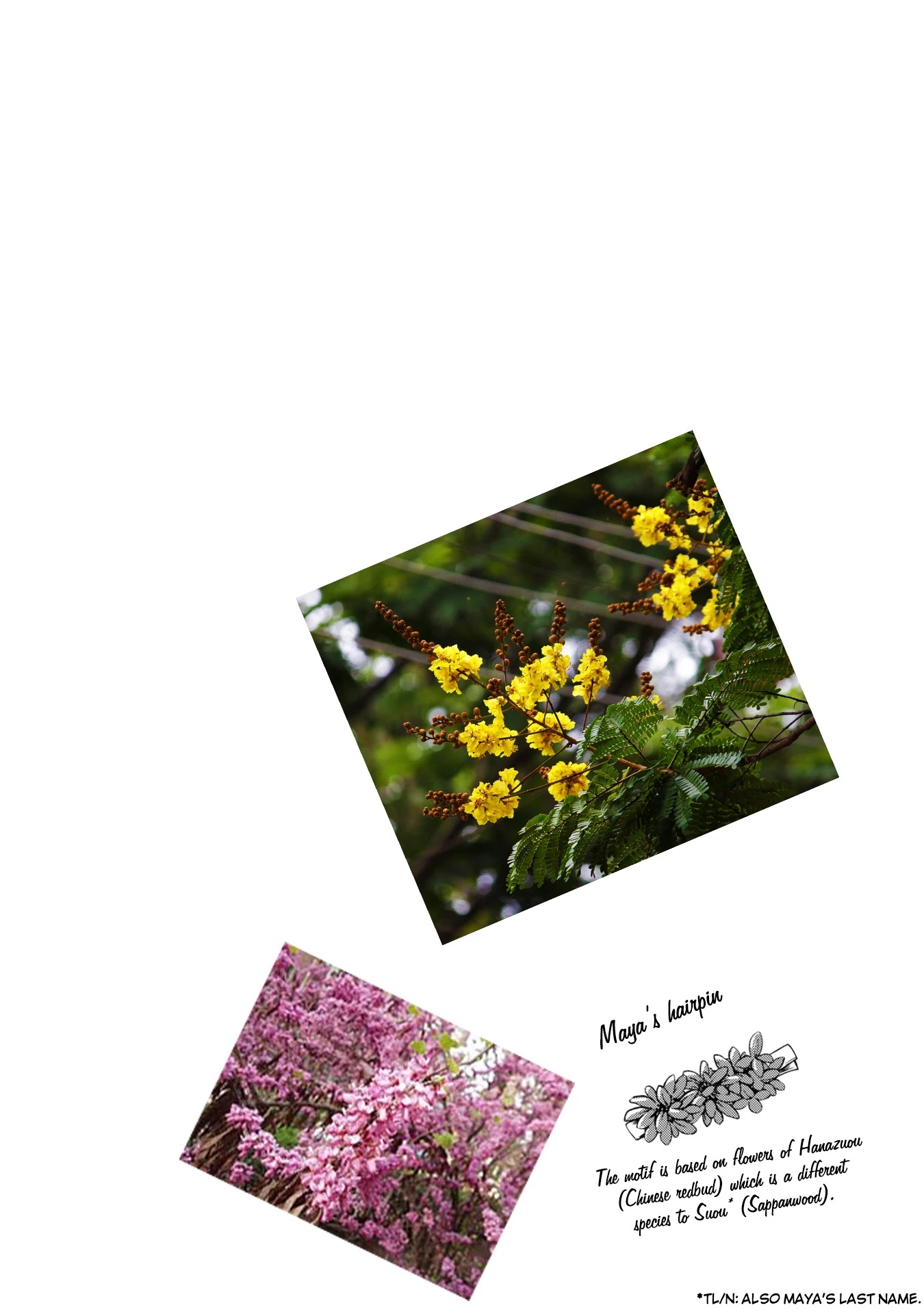 The Wolf in Love and Mille-Feuille Chapter 3 page 34 - Chapter 3: Märchen 3: The Garnet hunter