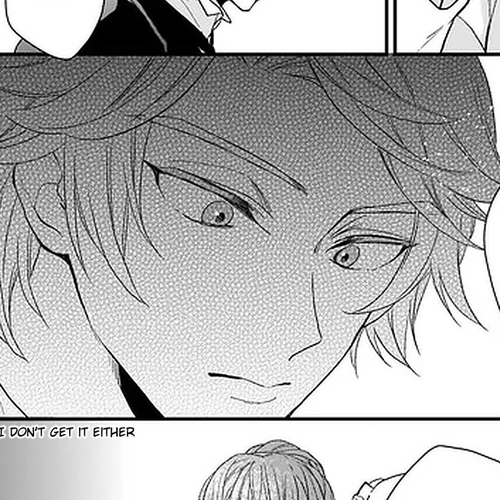 The Wolf Lord's Lady Chapter 15 cover