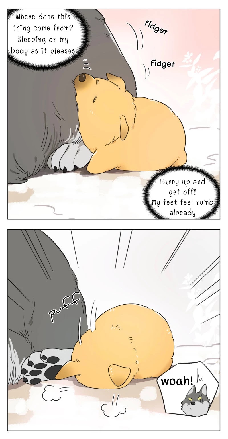 The Wolf That Picked Something Up Chapter 1 page 2 - Chapter 1
