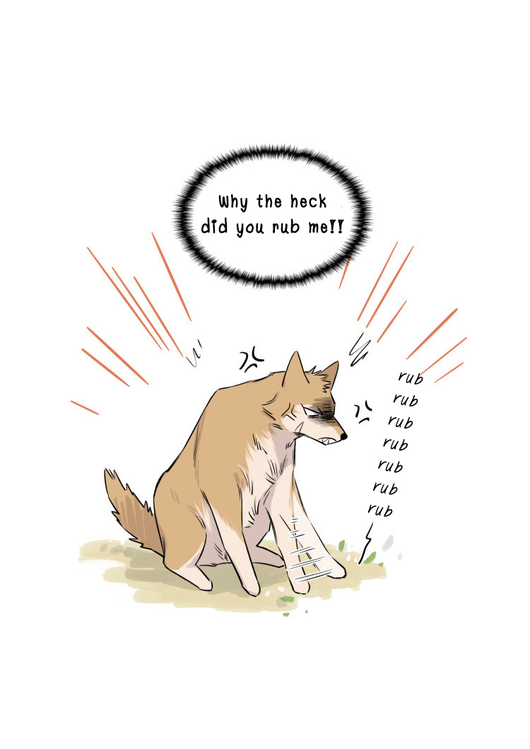 The Wolf That Picked Something Up Chapter 12 page 10 - Chapter 12
