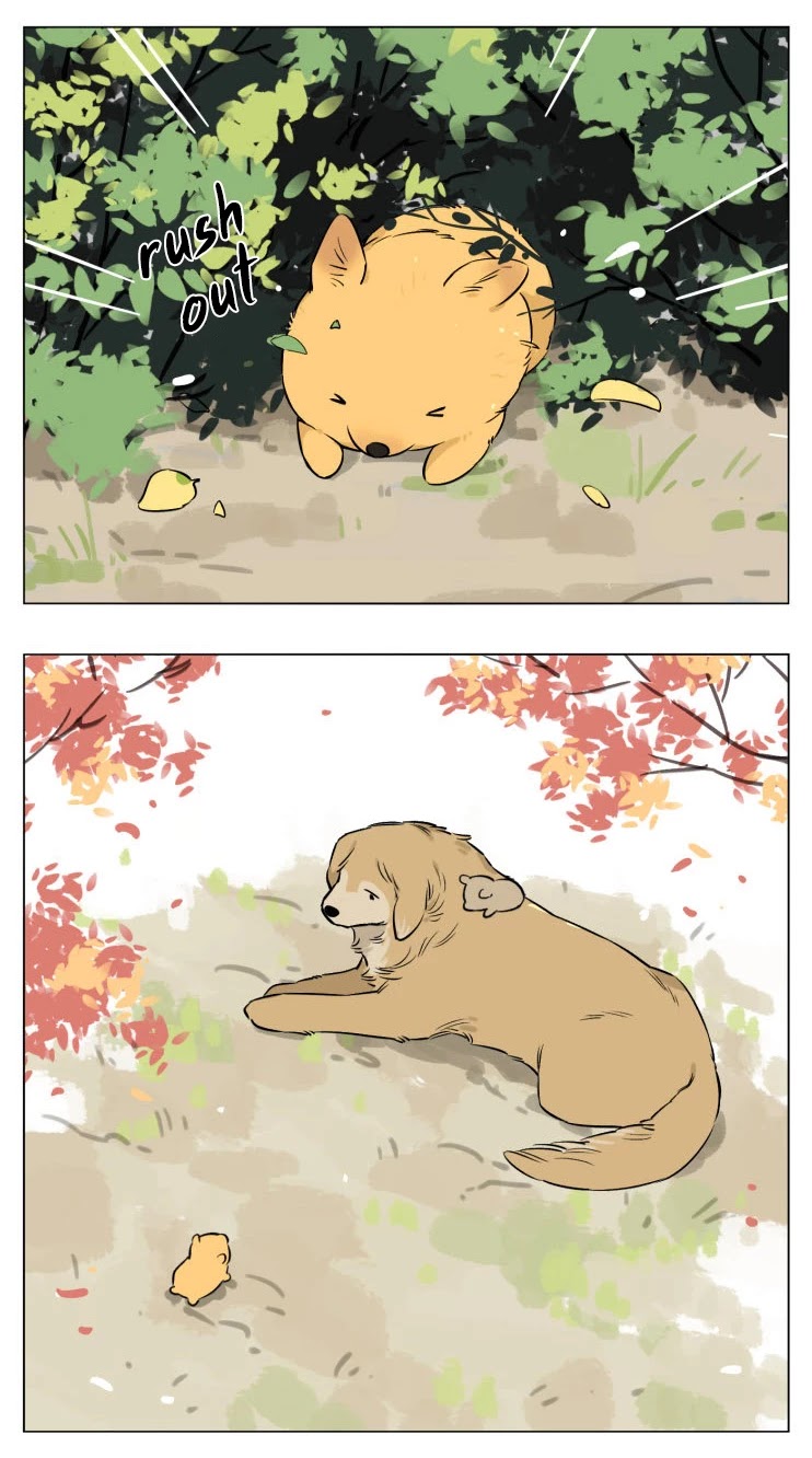The Wolf That Picked Something Up Chapter 13 page 19 - Chapter 13
