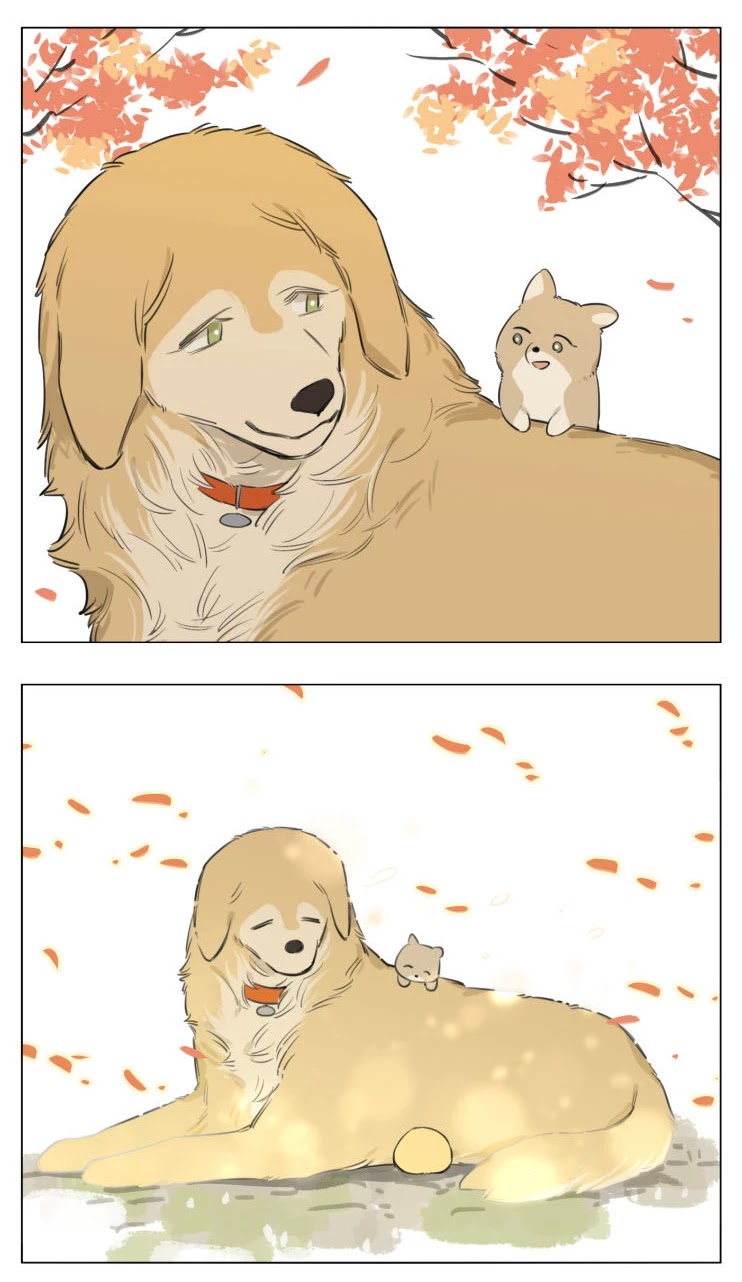 The Wolf That Picked Something Up Chapter 13 page 21 - Chapter 13