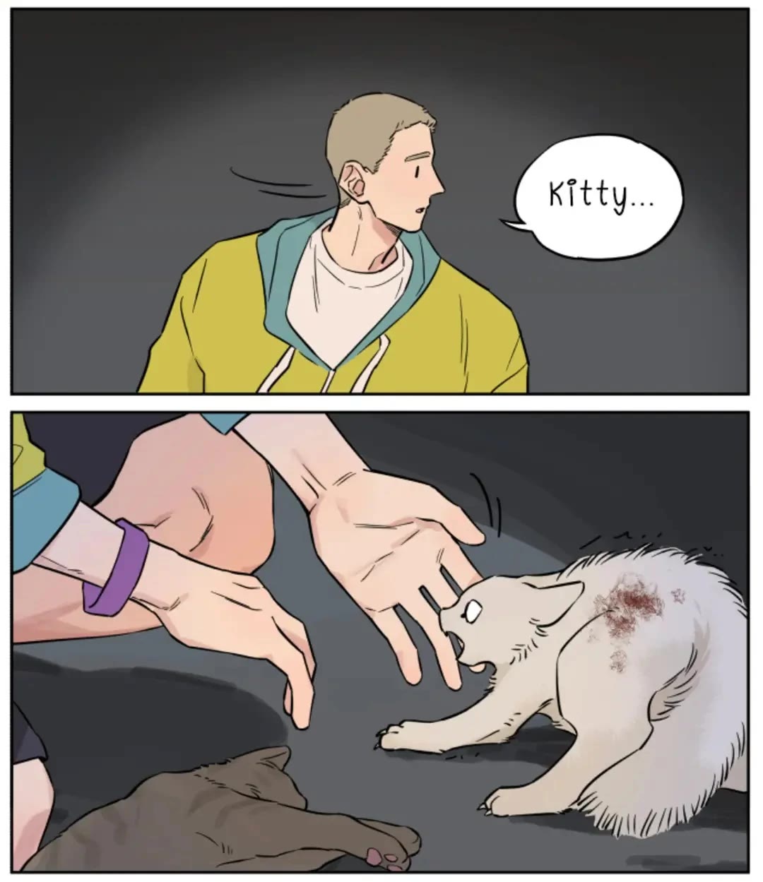 The Wolf That Picked Something Up Chapter 146 page 15 - Chapter 146: Luo Bai (1)