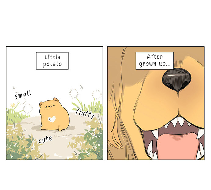 The Wolf That Picked Something Up Chapter 17 page 4 - Chapter 17