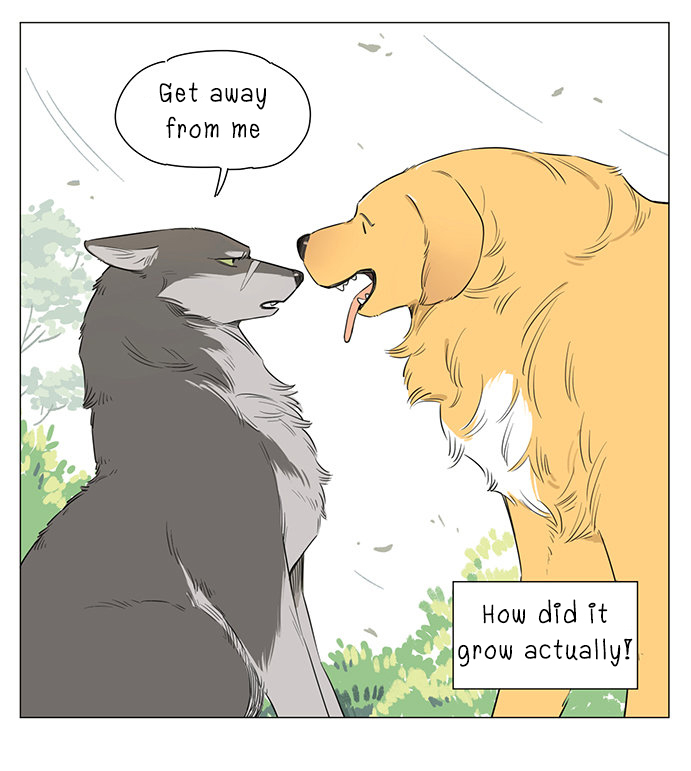The Wolf That Picked Something Up Chapter 17 page 5 - Chapter 17